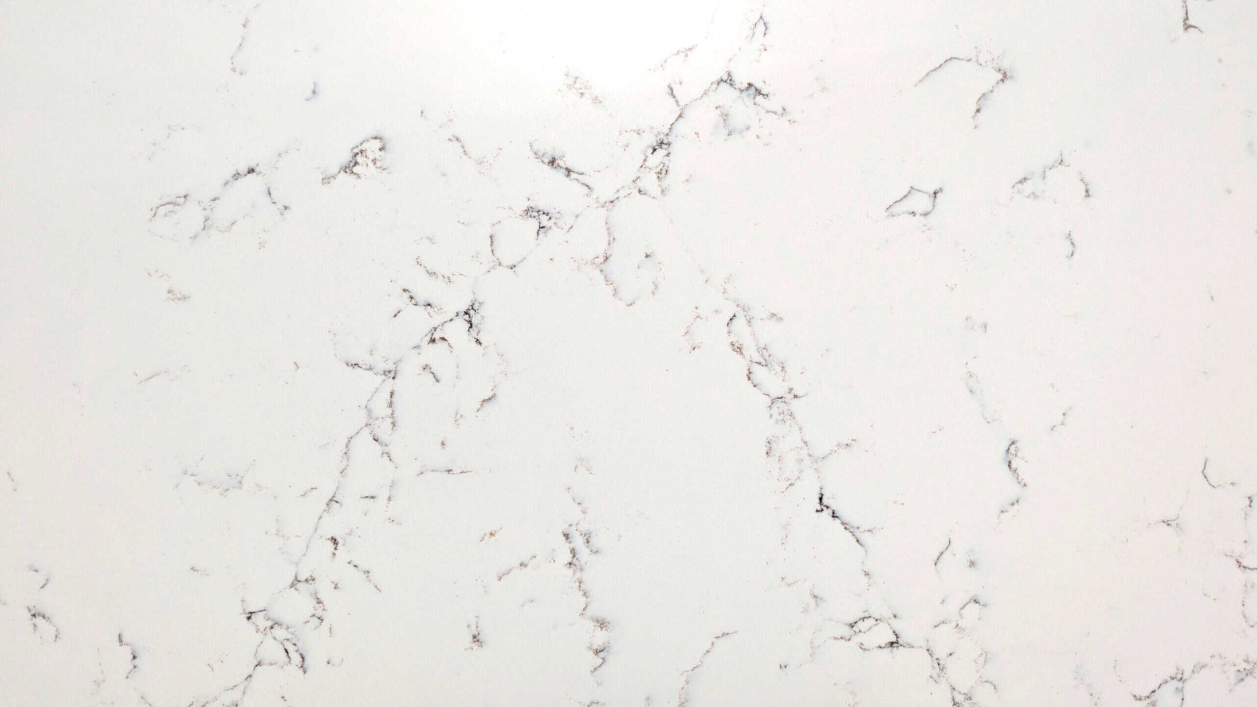 Calacatta Misterio Closeup