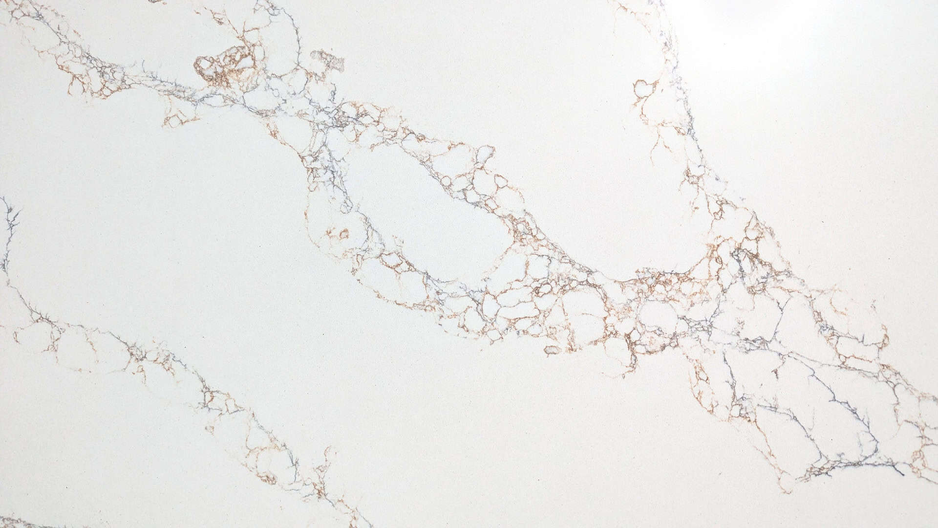 Calacatta Savoy - Close Up