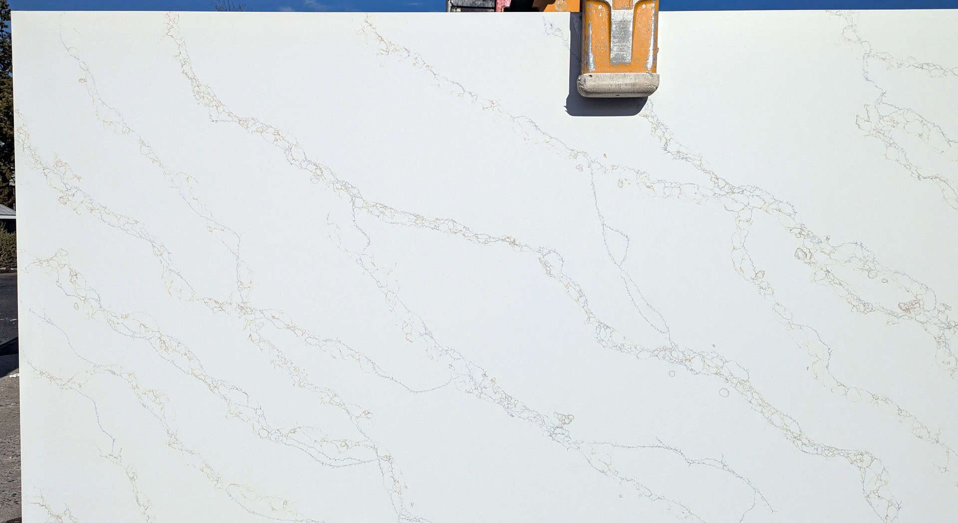 Calacatta Savoy - Quarter Slab