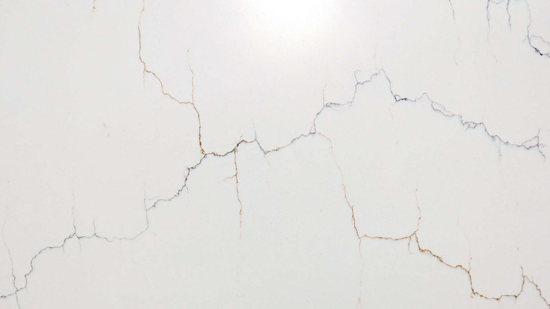 Calacatta Vickram Close Up