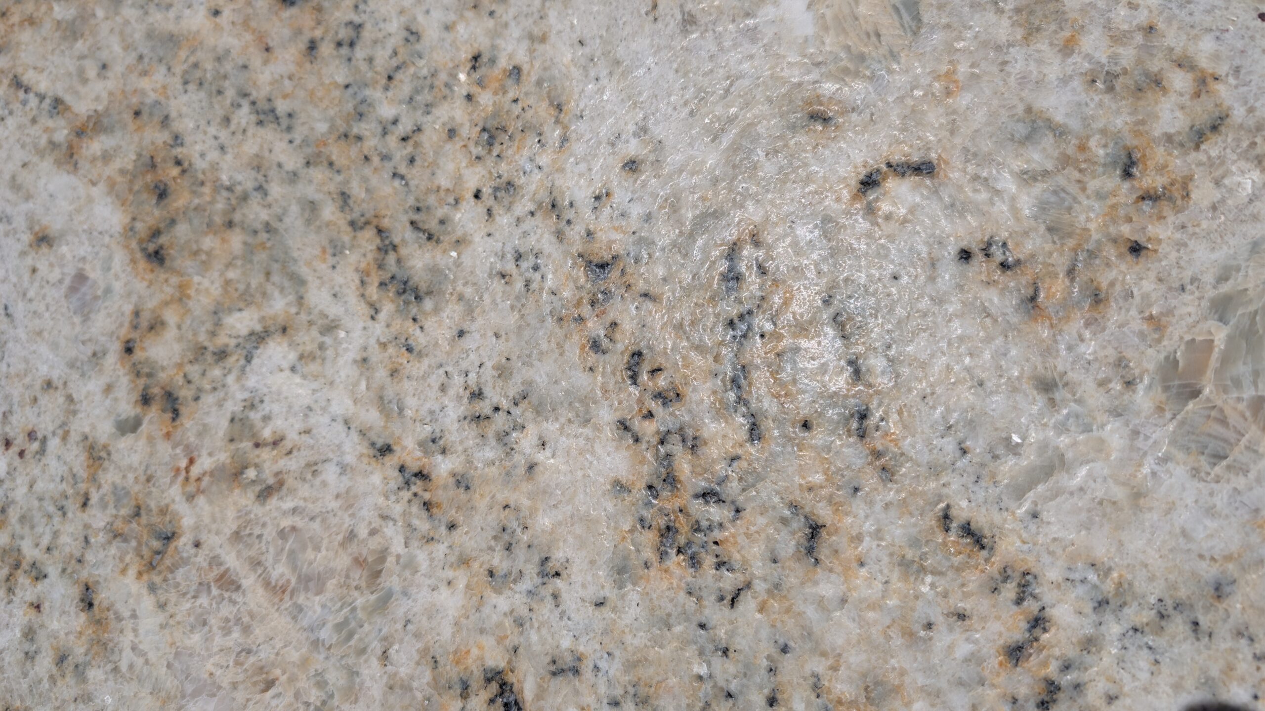 colonial cream leather close up